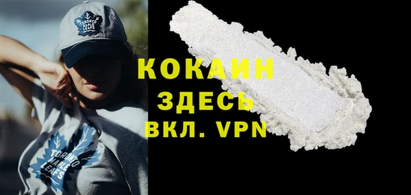 трава Бородино