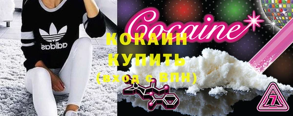 трава Бородино