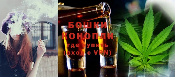 трава Бородино